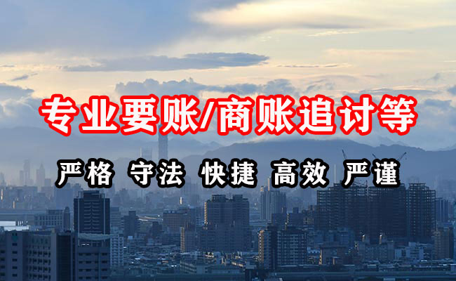 武定追账公司